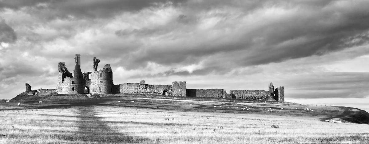 HC Wild Dunstanburgh by Dave Strother